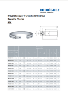 Rodriguez Cross Roller Bearing